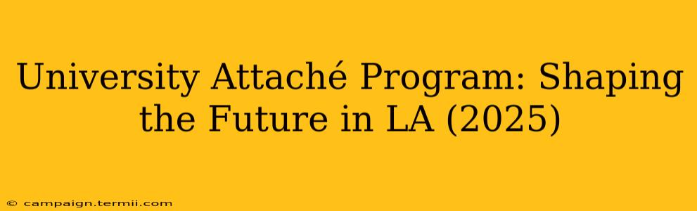 University Attaché Program: Shaping the Future in LA (2025)