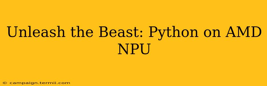 Unleash the Beast: Python on AMD NPU