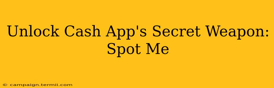 Unlock Cash App's Secret Weapon: Spot Me