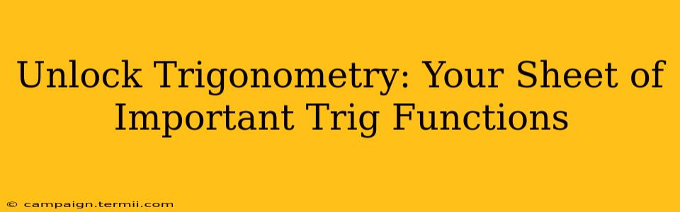 Unlock Trigonometry: Your Sheet of Important Trig Functions