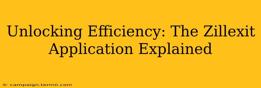 Unlocking Efficiency: The Zillexit Application Explained