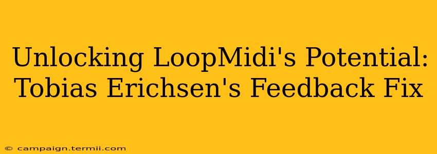 Unlocking LoopMidi's Potential: Tobias Erichsen's Feedback Fix