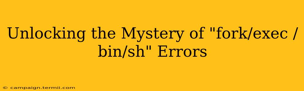 Unlocking the Mystery of "fork/exec /bin/sh" Errors