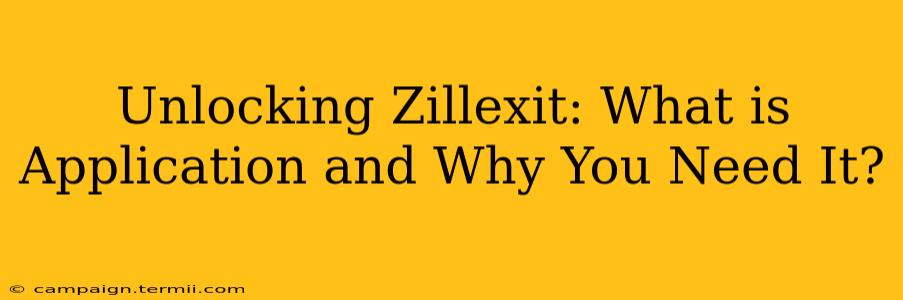 Unlocking Zillexit: What is Application and Why You Need It?