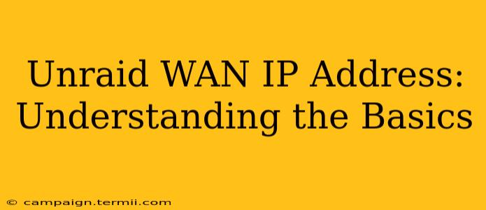 Unraid WAN IP Address: Understanding the Basics