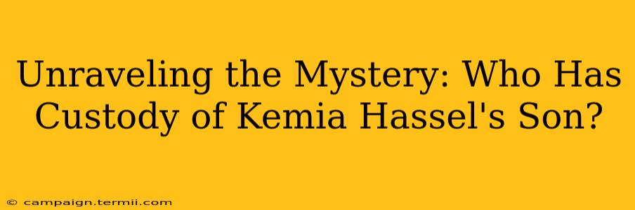 Unraveling the Mystery: Who Has Custody of Kemia Hassel's Son?