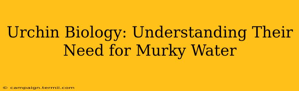 Urchin Biology: Understanding Their Need for Murky Water