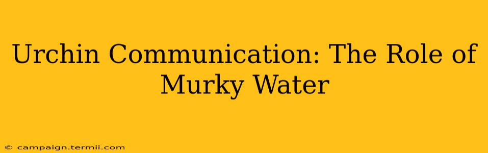 Urchin Communication: The Role of Murky Water