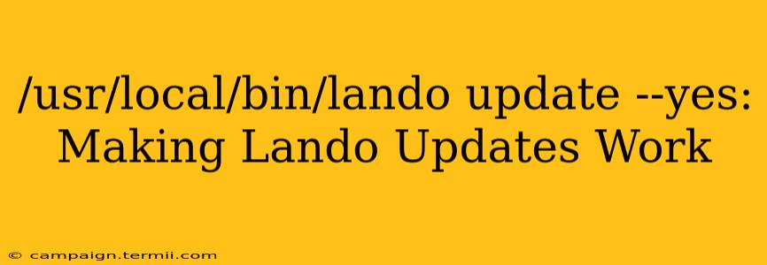 /usr/local/bin/lando update --yes: Making Lando Updates Work