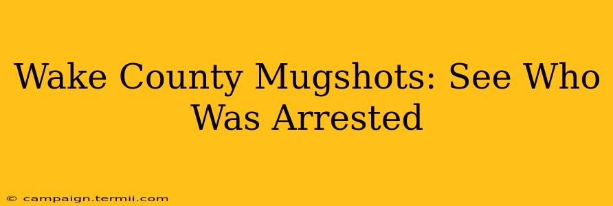 Wake County Mugshots: See Who Was Arrested