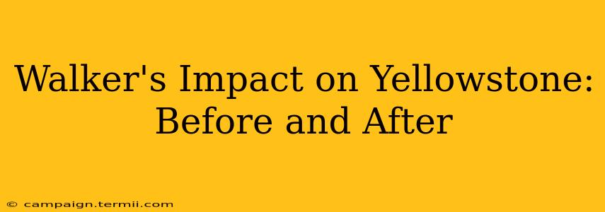 Walker's Impact on Yellowstone: Before and After