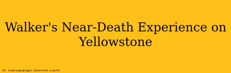 Walker's Near-Death Experience on Yellowstone