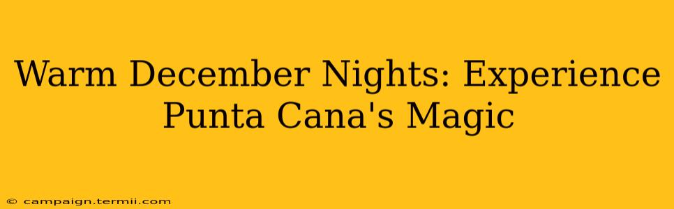 Warm December Nights: Experience Punta Cana's Magic