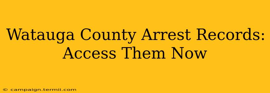 Watauga County Arrest Records: Access Them Now