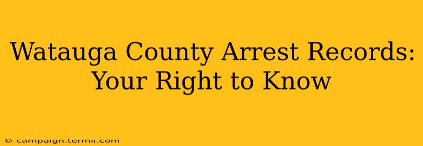 Watauga County Arrest Records: Your Right to Know