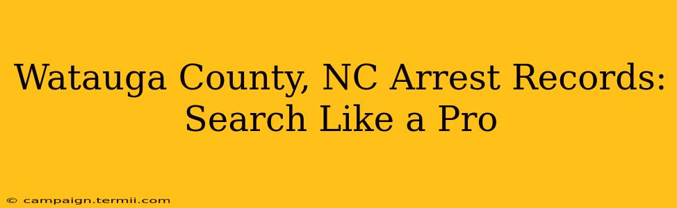 Watauga County, NC Arrest Records: Search Like a Pro