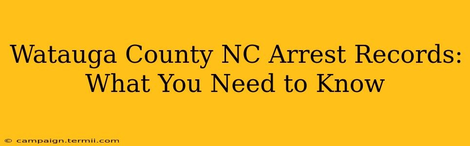 Watauga County NC Arrest Records: What You Need to Know