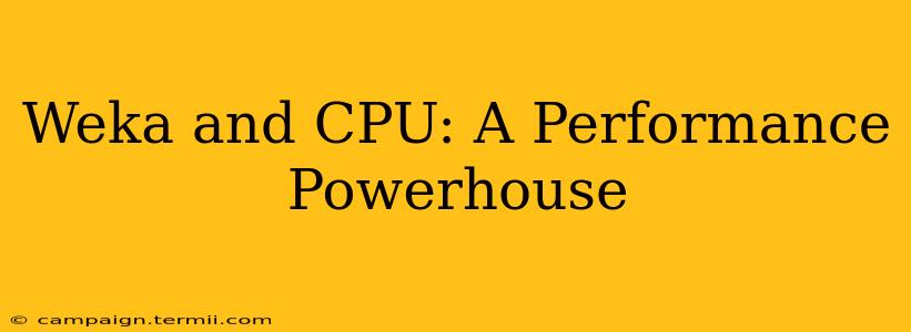 Weka and CPU: A Performance Powerhouse