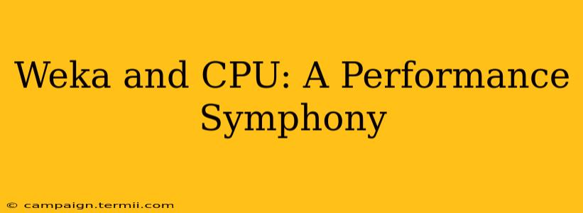 Weka and CPU: A Performance Symphony