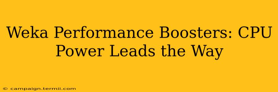 Weka Performance Boosters: CPU Power Leads the Way