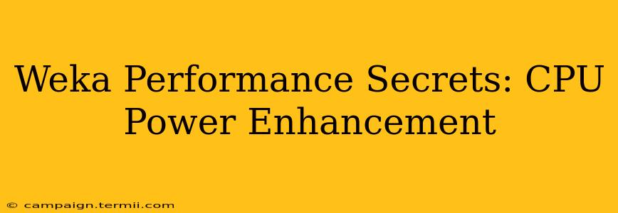 Weka Performance Secrets: CPU Power Enhancement