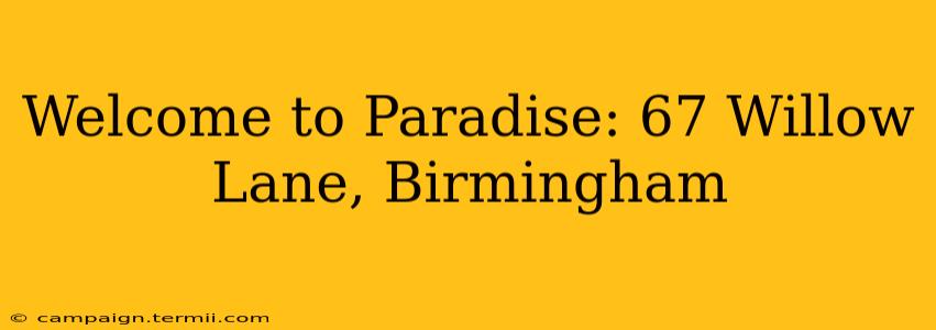 Welcome to Paradise: 67 Willow Lane, Birmingham