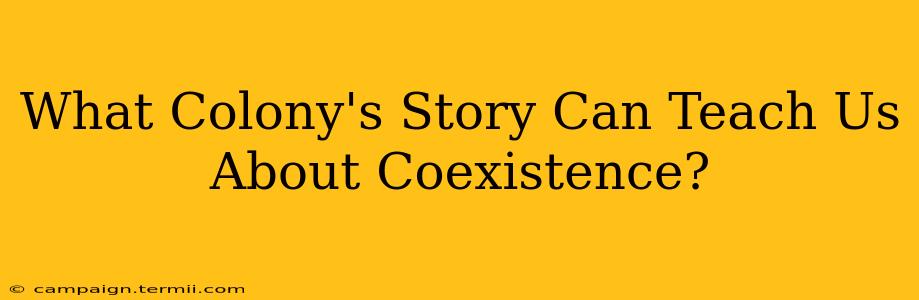 What Colony's Story Can Teach Us About Coexistence?