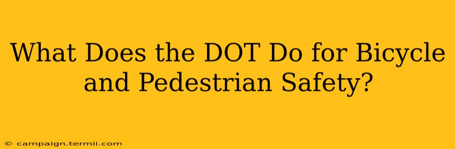 What Does the DOT Do for Bicycle and Pedestrian Safety?