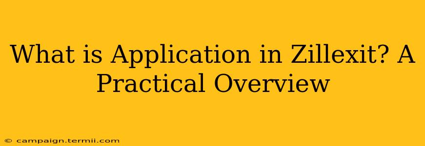 What is Application in Zillexit? A Practical Overview