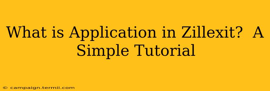 What is Application in Zillexit?  A Simple Tutorial