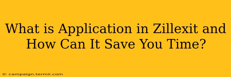 What is Application in Zillexit and How Can It Save You Time?