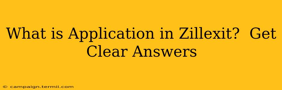 What is Application in Zillexit?  Get Clear Answers