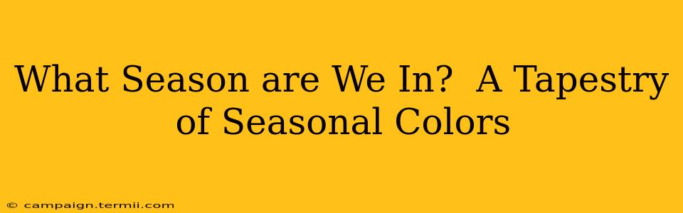 What Season are We In?  A Tapestry of Seasonal Colors