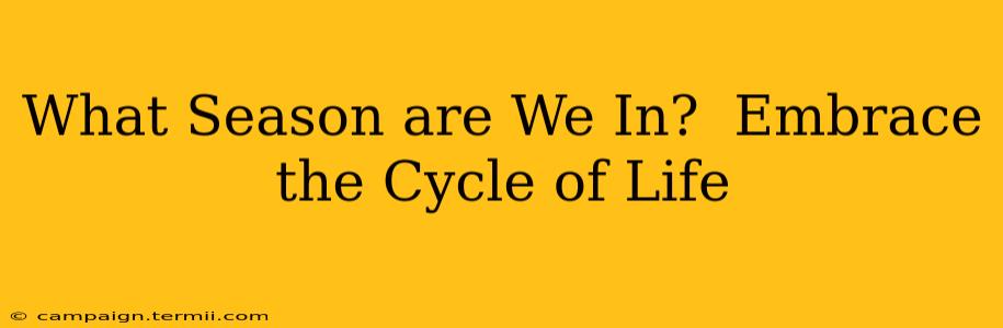 What Season are We In?  Embrace the Cycle of Life