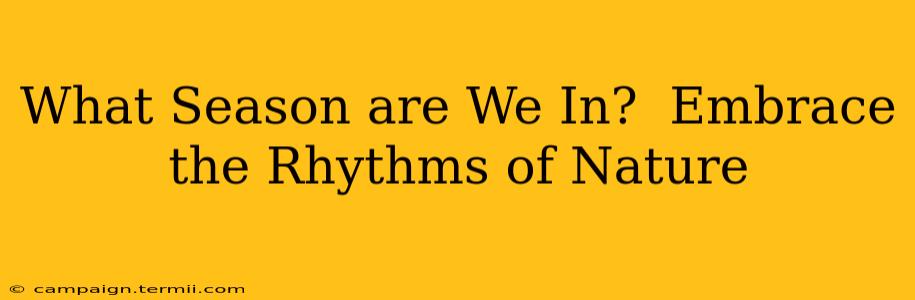 What Season are We In?  Embrace the Rhythms of Nature