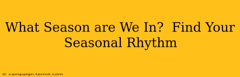 What Season are We In?  Find Your Seasonal Rhythm