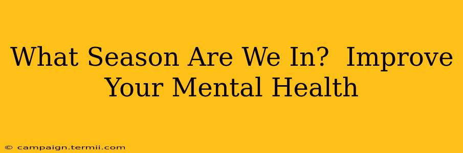 What Season Are We In?  Improve Your Mental Health