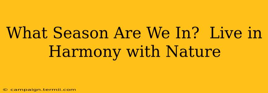 What Season Are We In?  Live in Harmony with Nature