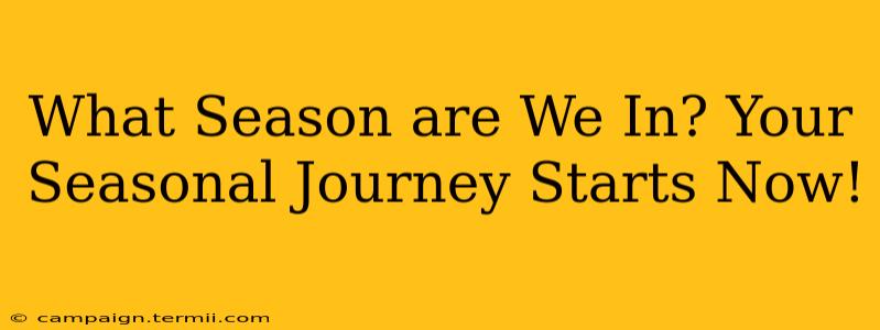 What Season are We In? Your Seasonal Journey Starts Now!