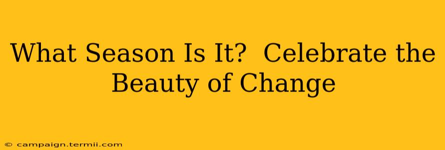 What Season Is It?  Celebrate the Beauty of Change