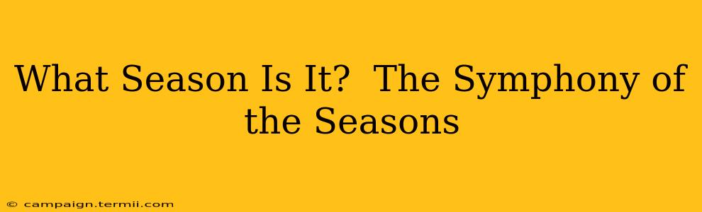 What Season Is It?  The Symphony of the Seasons