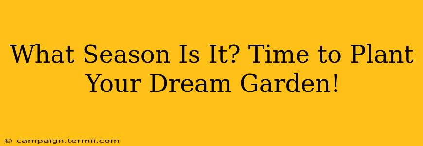 What Season Is It? Time to Plant Your Dream Garden!