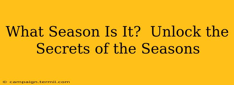 What Season Is It?  Unlock the Secrets of the Seasons