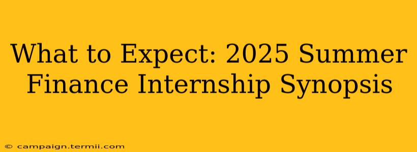 What to Expect: 2025 Summer Finance Internship Synopsis