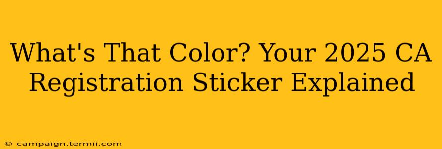 What's That Color? Your 2025 CA Registration Sticker Explained