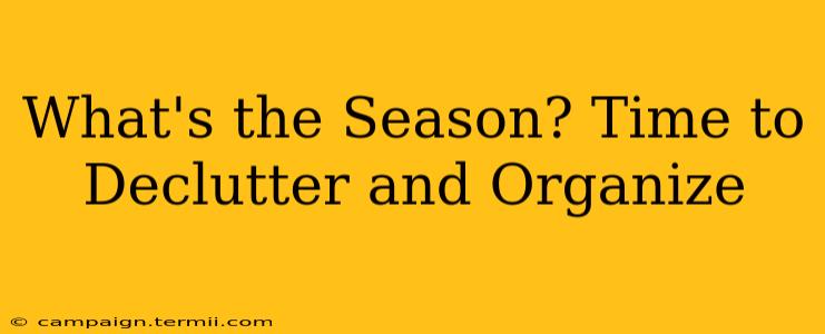 What's the Season? Time to Declutter and Organize