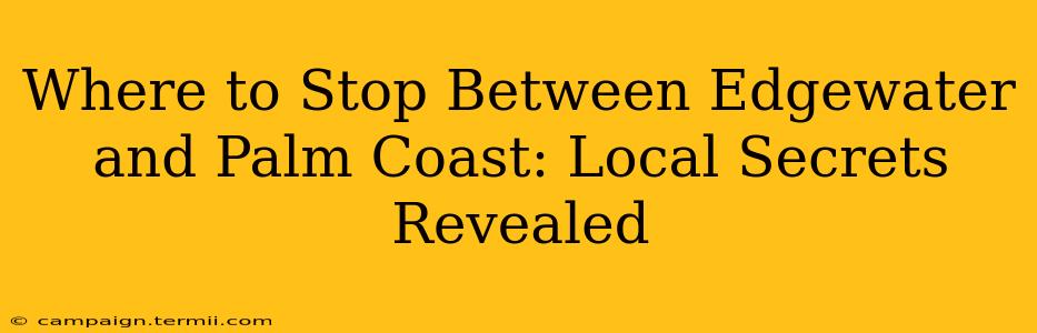 Where to Stop Between Edgewater and Palm Coast: Local Secrets Revealed