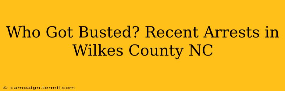 Who Got Busted? Recent Arrests in Wilkes County NC