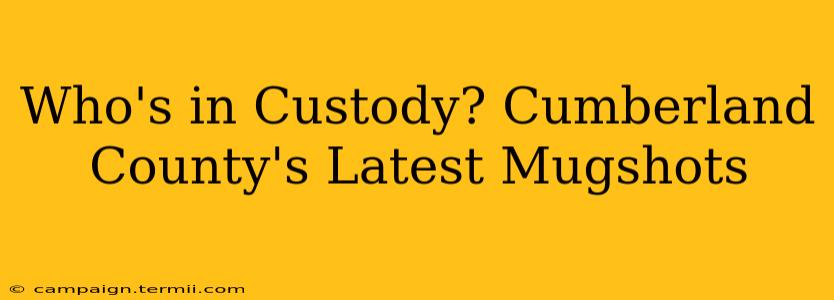 Who's in Custody? Cumberland County's Latest Mugshots