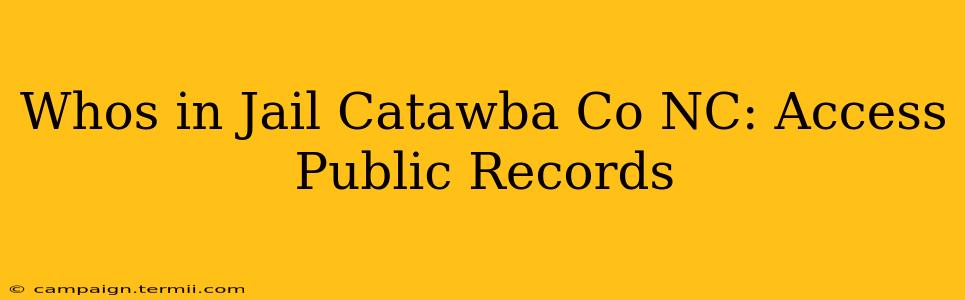 Whos in Jail Catawba Co NC: Access Public Records